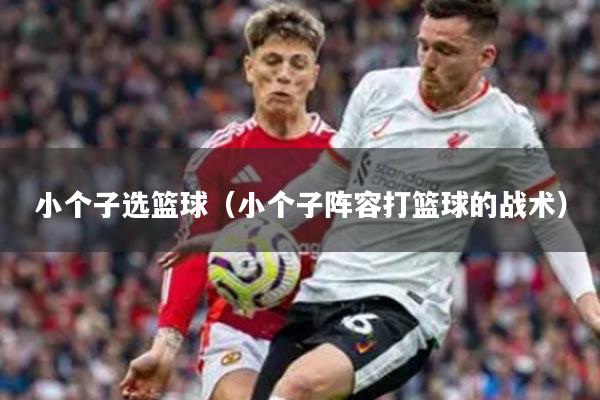 小个子选篮球（小个子阵容打篮球的战术）