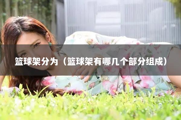 篮球架分为（篮球架有哪几个部分组成）