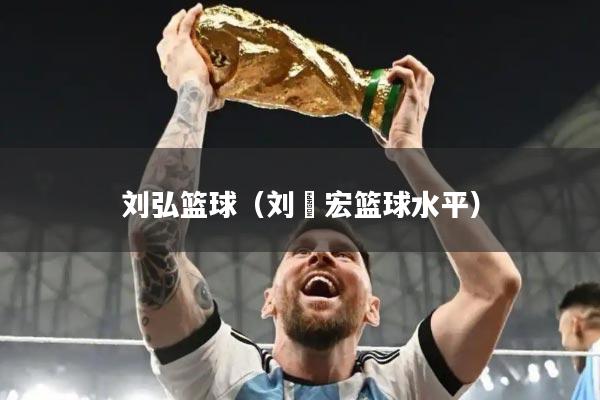 刘弘篮球（刘畊宏篮球水平）