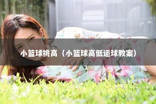 小篮球挑高（小篮球高低运球教案）