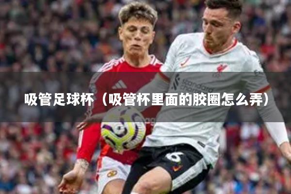 吸管足球杯（吸管杯里面的胶圈怎么弄）